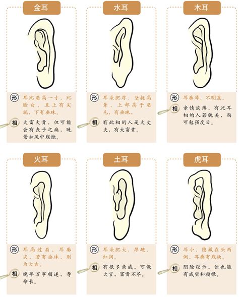 大耳 面相|十六种耳朵面相图文分析三六风水网